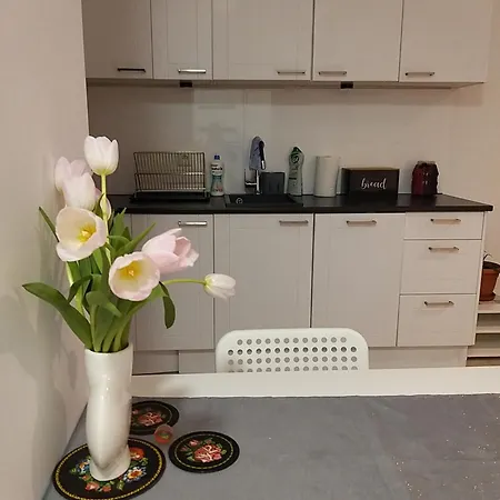 公寓 Apartament Cztery Pory Roku 格但斯克